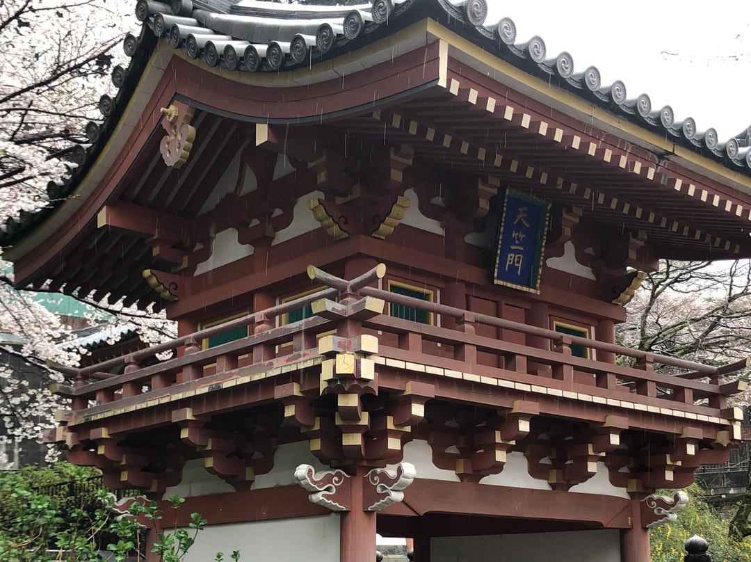 Tsubosaka Temple Dainehan Sekizo景点图片