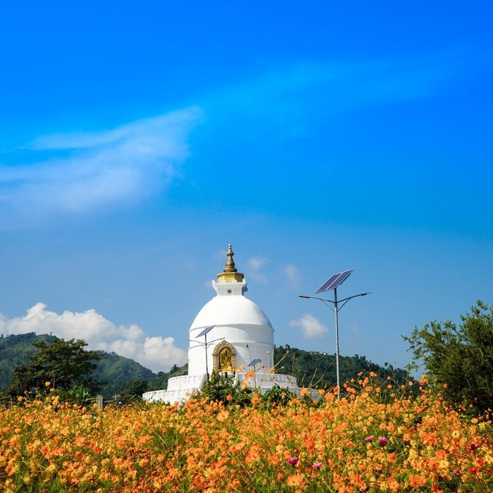 Pumdikot Mountain Lodge主图