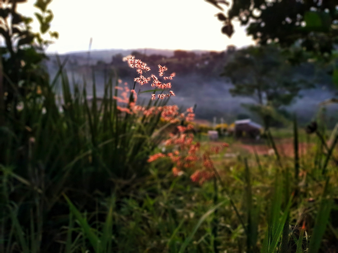 Cavalo Guest House & Equestrian Centre主图