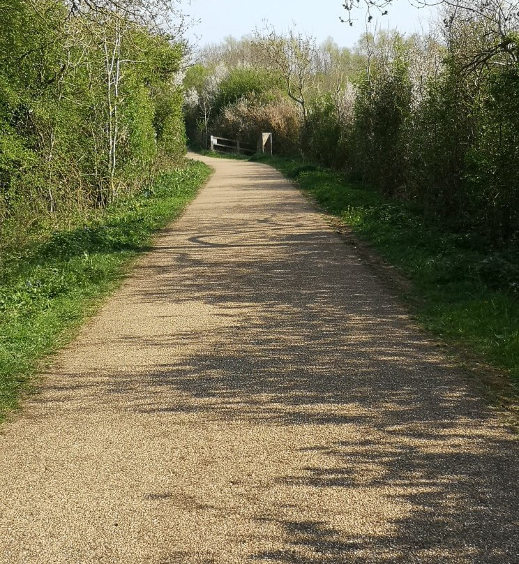 Irthlingborough Lakes and Meadows景点图片