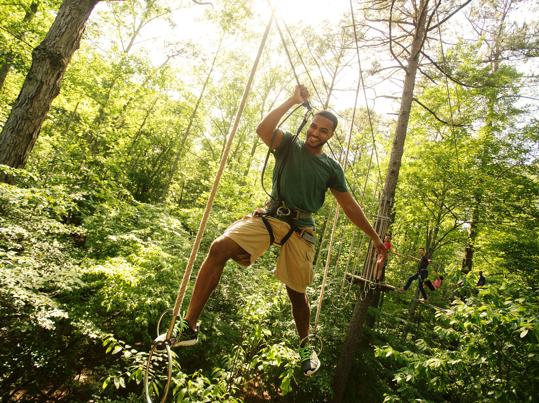 Go Ape Zipline & Adventure Park景点图片