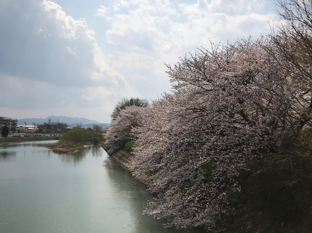 Sakanaigawa Shinsui Park-松阪市必去景点