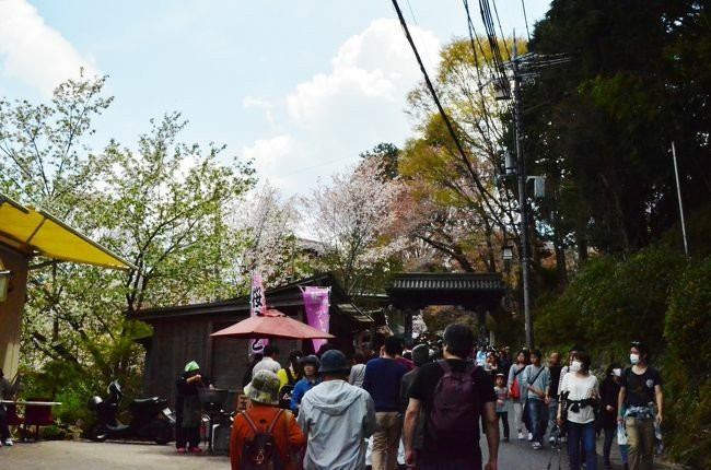 Kimpusen-ji Temple Kuromon景点图片