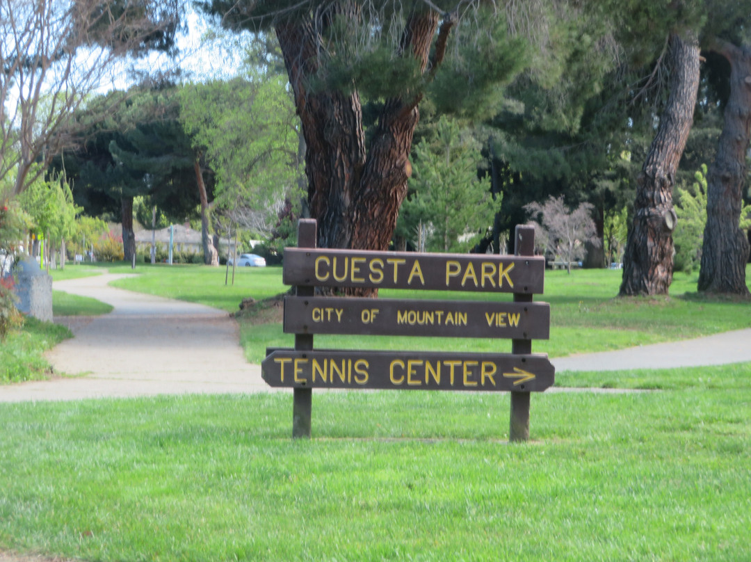 Cuesta Park-山景城必去景点