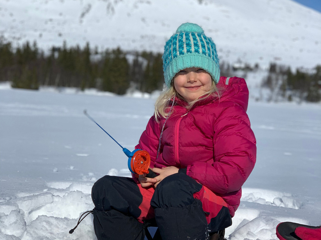 Hemsedal Tourist Office景点图片