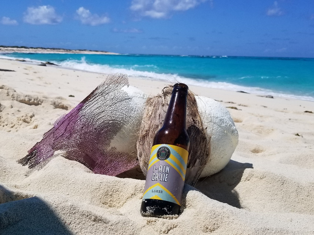 索尔特岛-Salt Cay必去景点