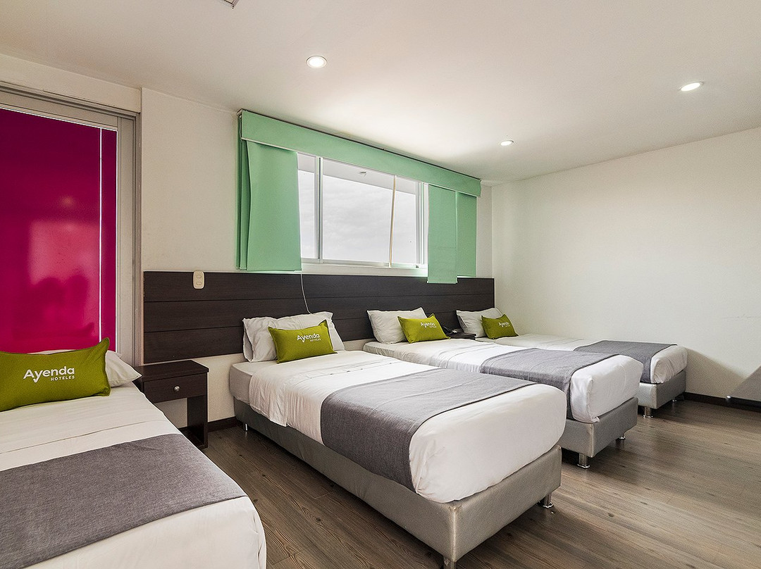 Hotel Ecoferia Boutique主图