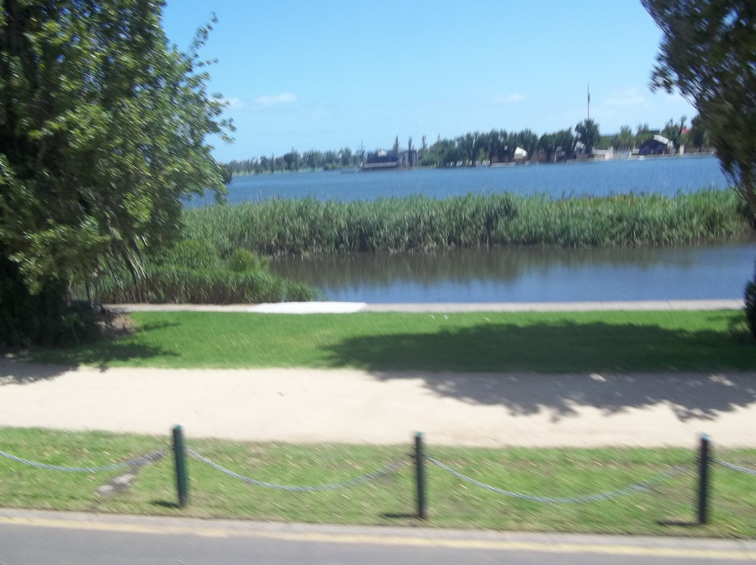 Albert Park Lake景点图片