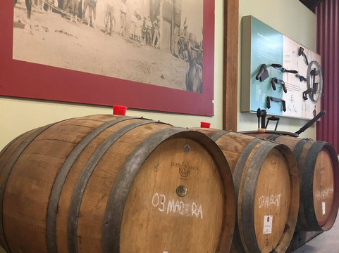 Steadwell Escapes-悉尼必去景点