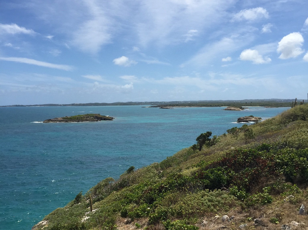 Great Bird Island-圣 约翰必去景点