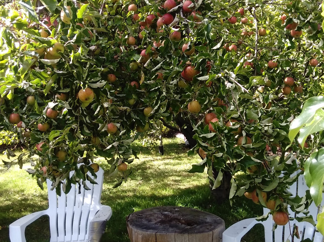 Hillside at Woodstock Bed & Breakfast主图