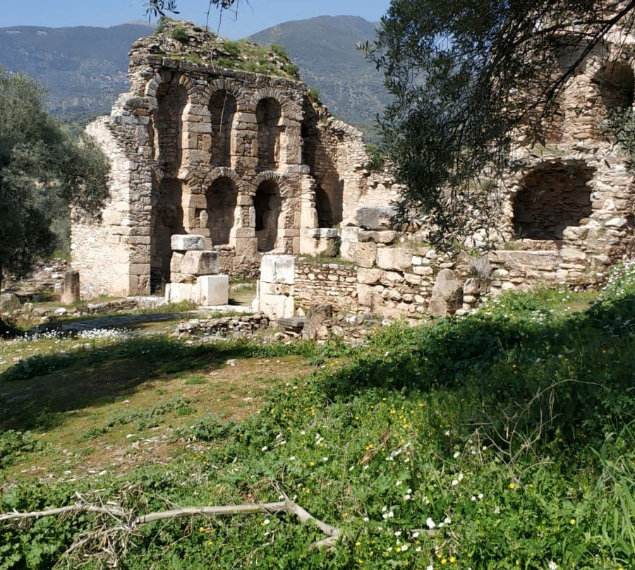 Nysa Ruins-艾登必去景点