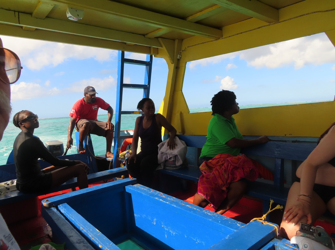 Buccoo Reef-多巴哥必去景点