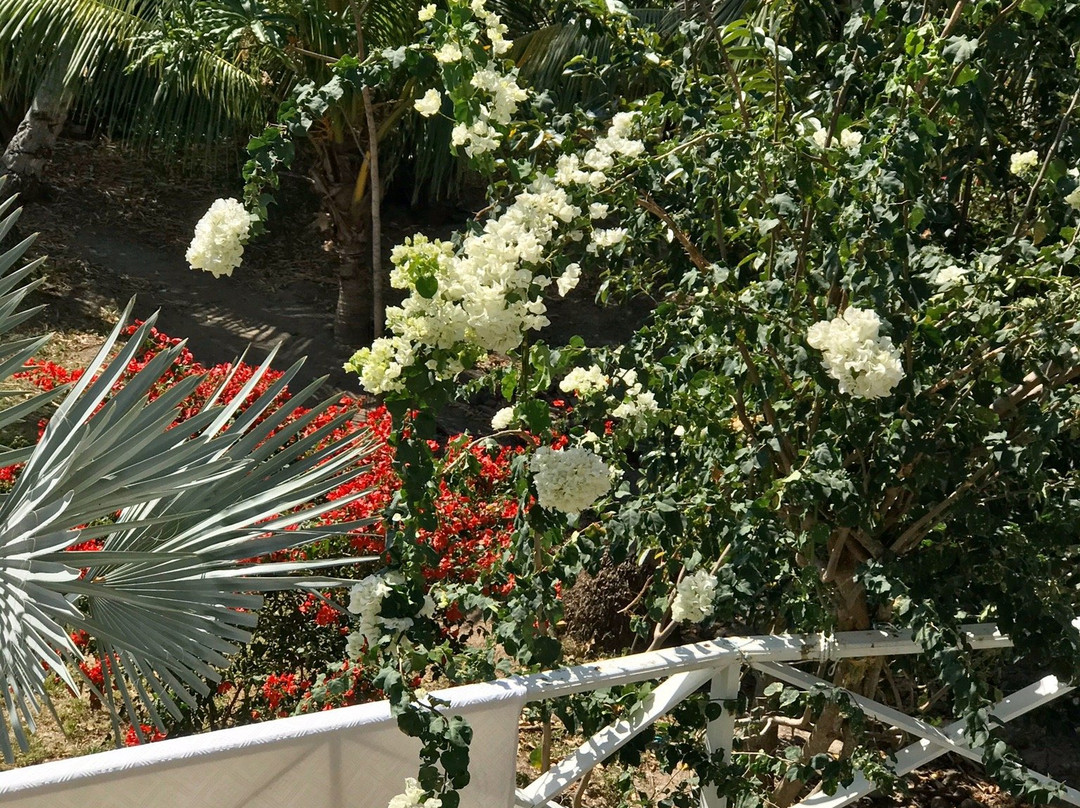 Hotel Yellow Home Providence Island主图