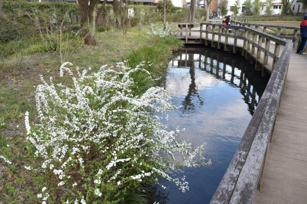 Sugatami no Ike-国分寺市必去景点