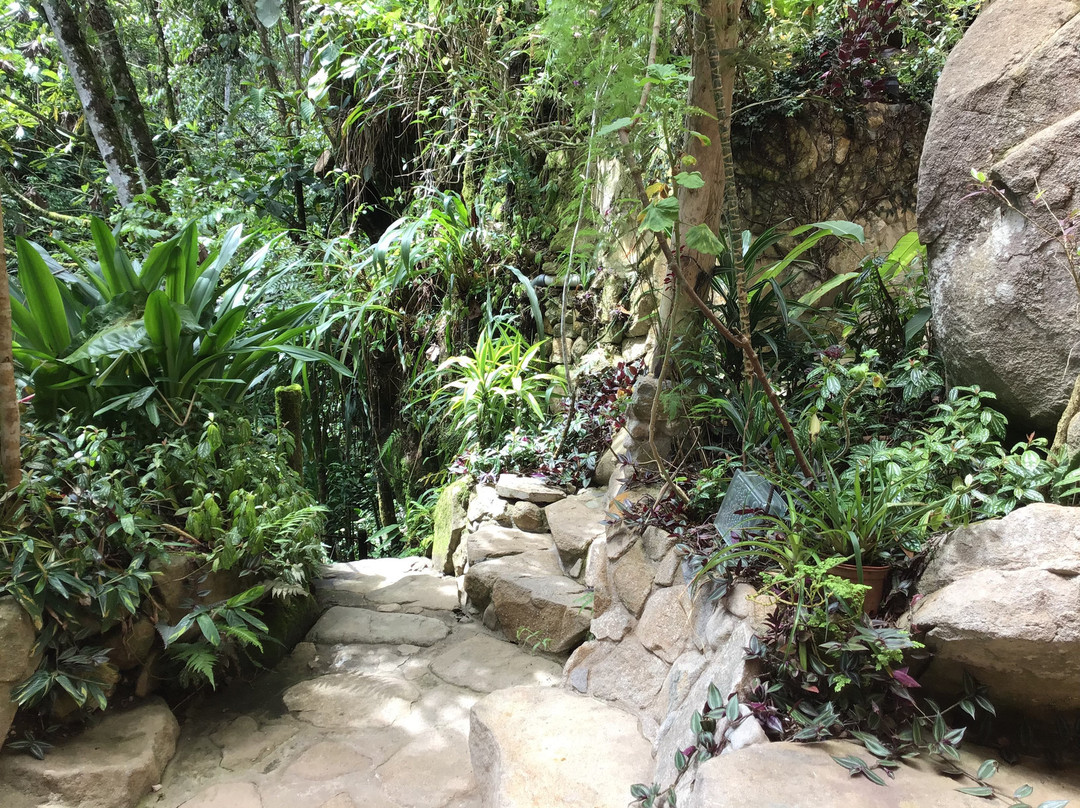 Casa Mariposa Nature Lodge主图