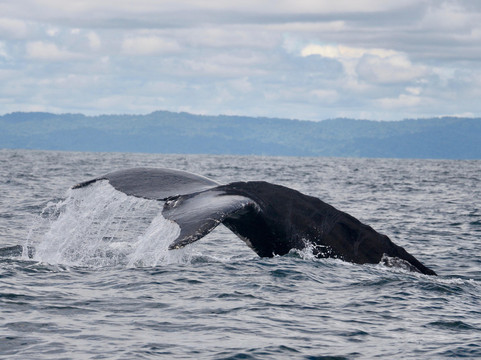 Colombia Plan-莱蒂西亚必去景点