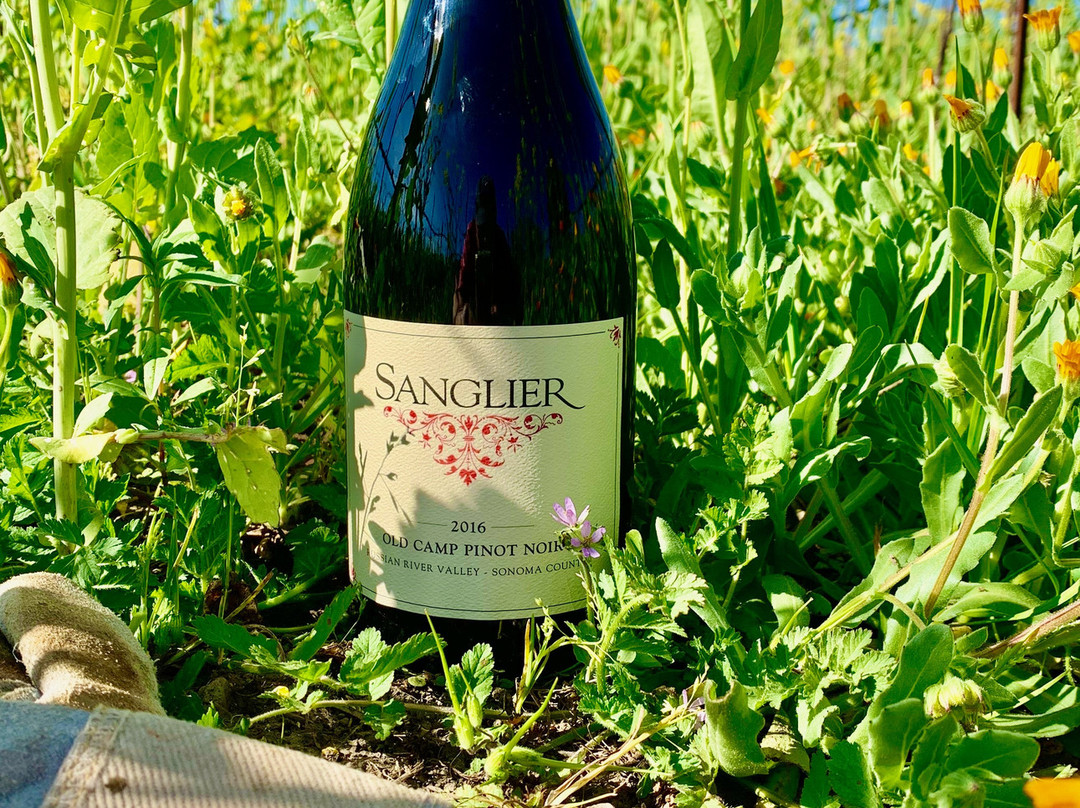 Sanglier Cellars-Fulton必去景点