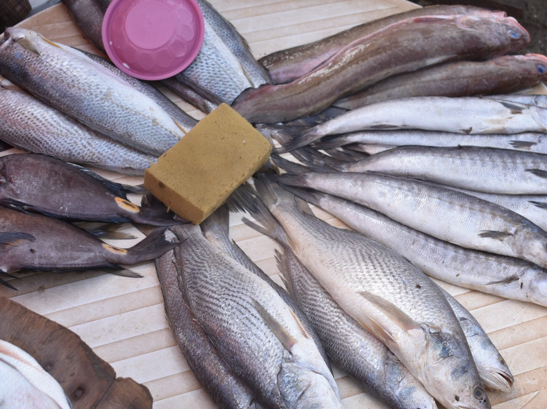 Bakau Fish Market景点图片
