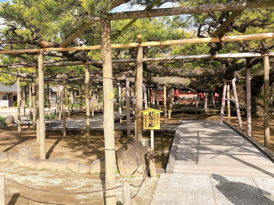 Zenyoji Temple-江戸川区必去景点