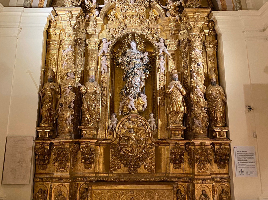 Museo de Huesca景点图片