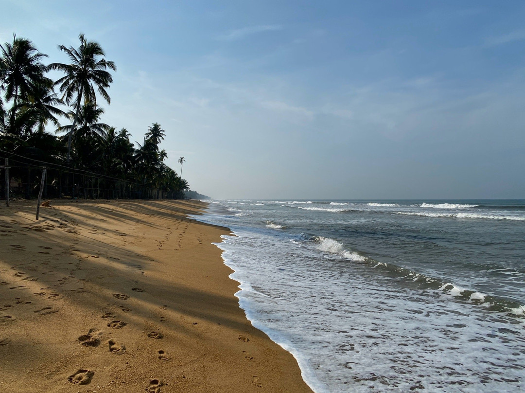 Villa Ocean View Hotel主图