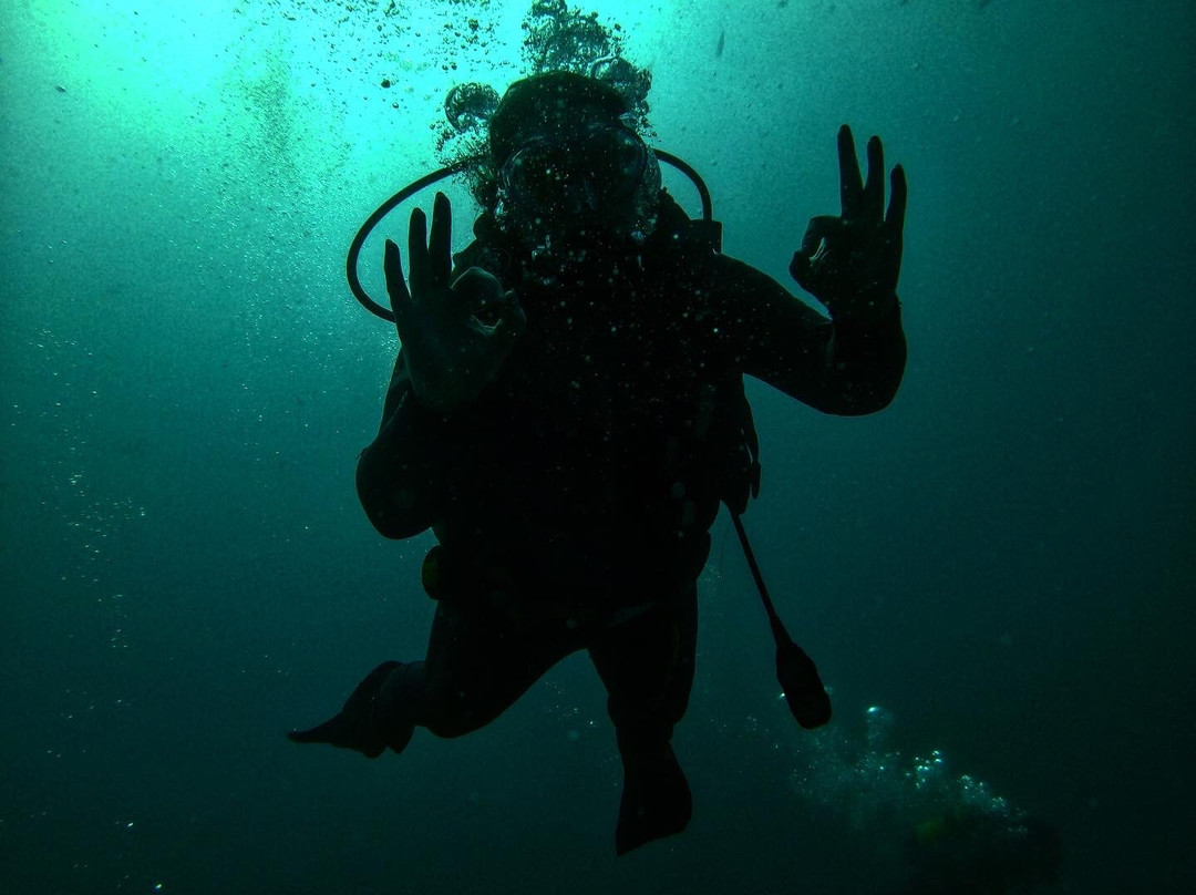 Canary Diving Adventures-莫干山必去景点