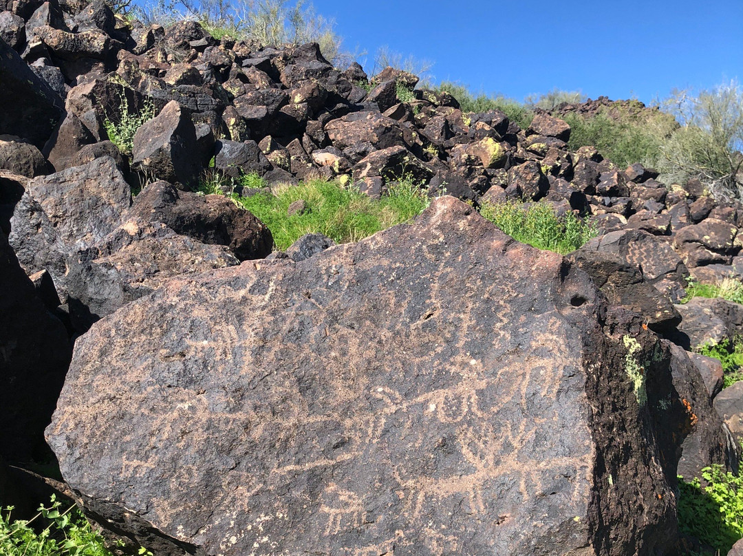 Deer Valley Petroglyph Preserve-格兰岱尔必去景点