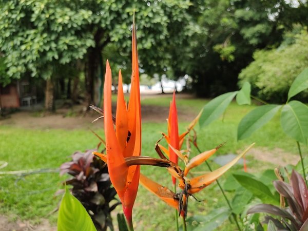 Beloalter Hotel-官方