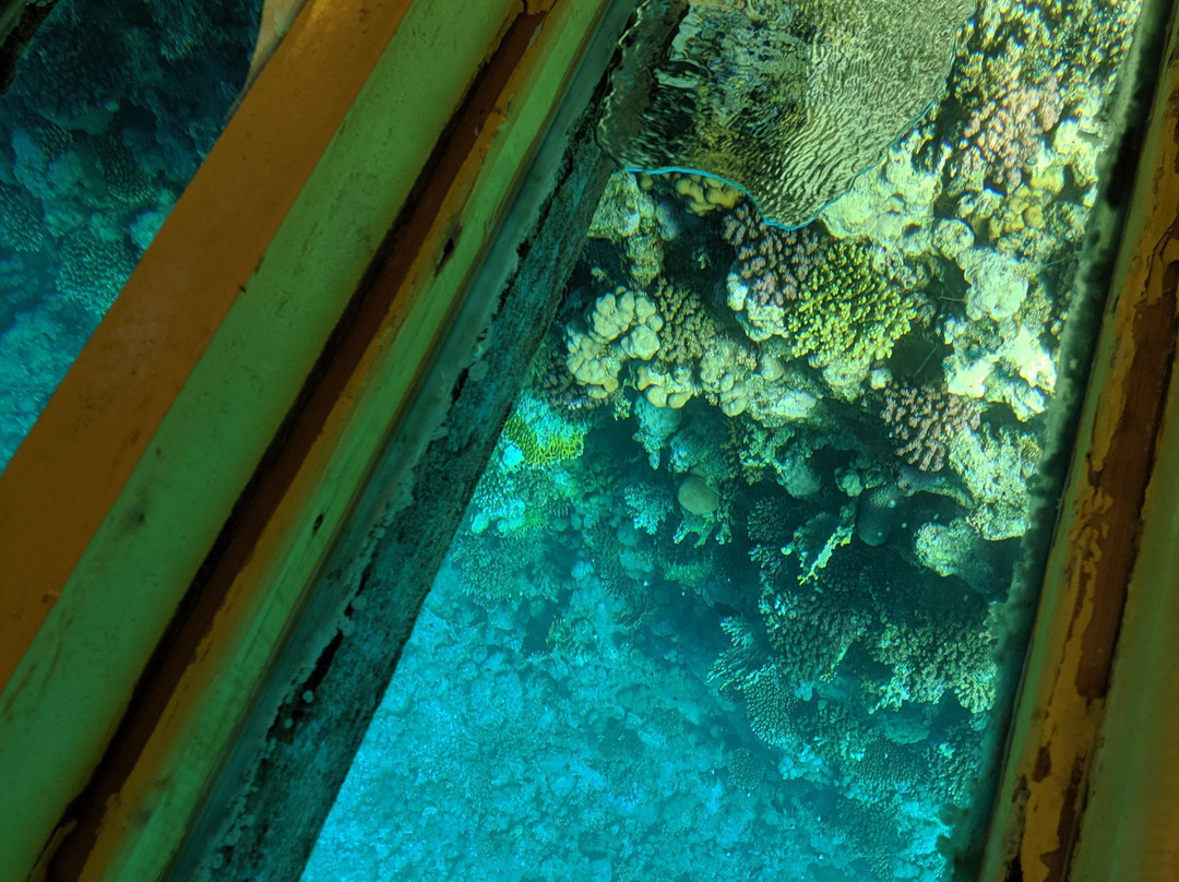 Sheraton Soma Bay Resort主图