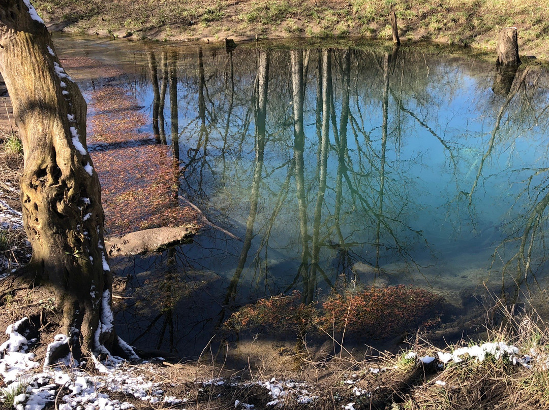 McConnell Springs-列克星敦必去景点