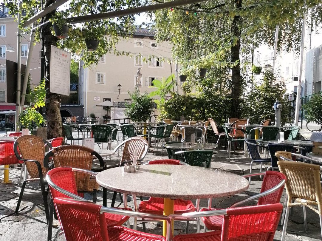 Flip-萨尔茨堡必去景点