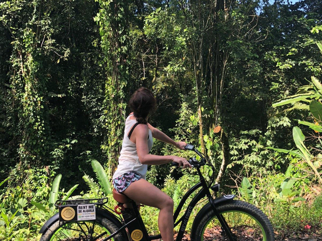 Bocas Ebikes景点图片