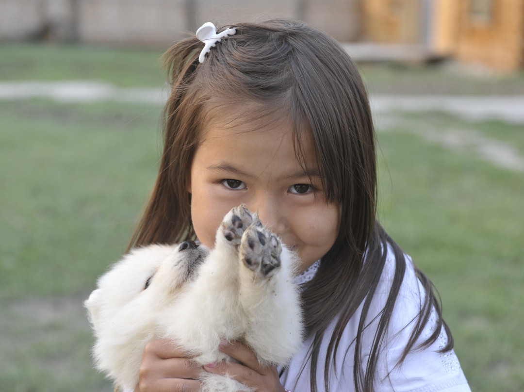 Baikalsky Plyos主图