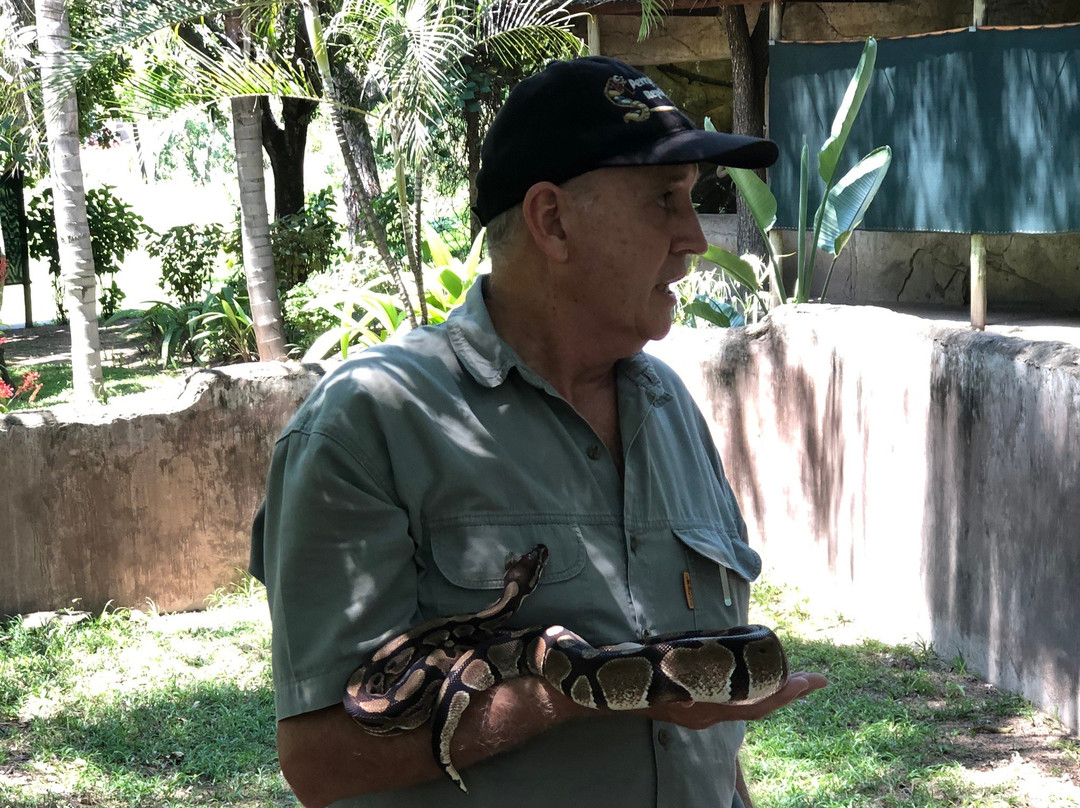 Perry's Bridge Reptile Park景点图片