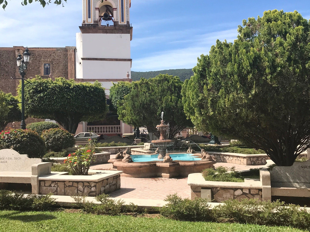 Talpa & Mascota Tour-瓦拉塔港必去景点