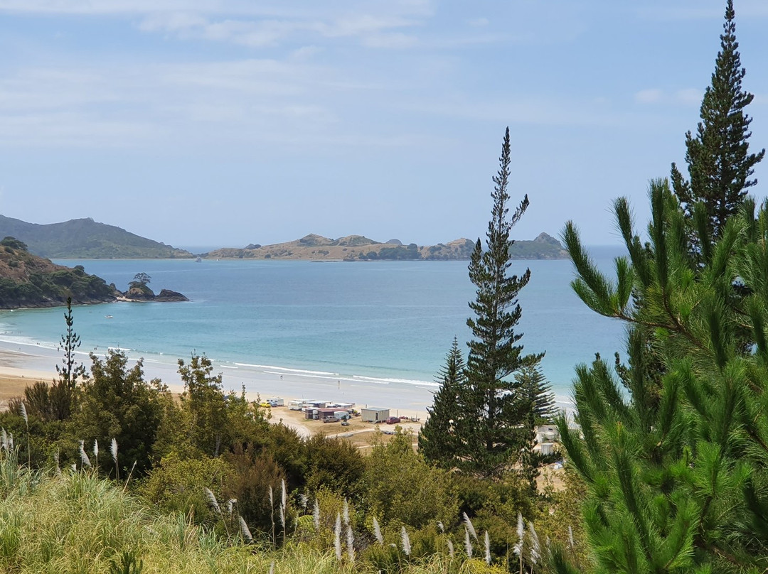 Matauri Bay旅游攻略图片