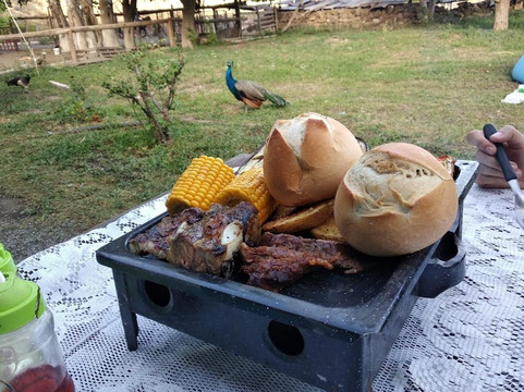 El Relincho Cabalgatas-门多萨必去景点