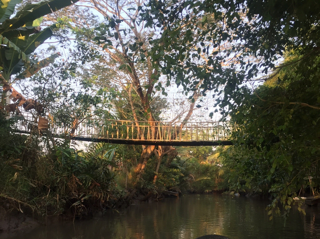 Phong Dien Floating Market-芹苴必去景点