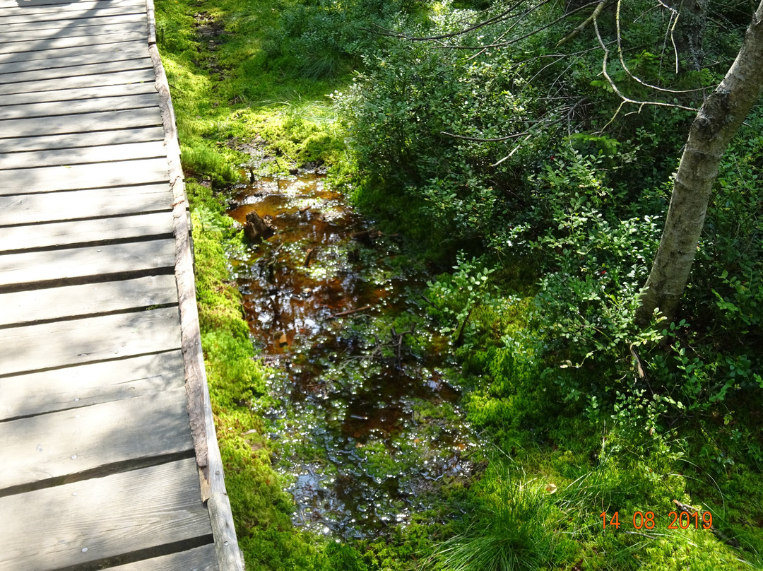 The nature trail. Rejvíz - Mechová jezírka景点图片