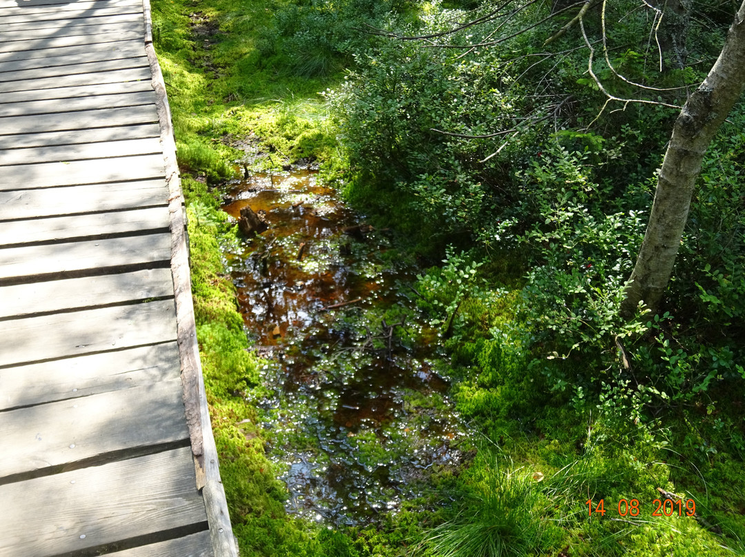 The nature trail. Rejvíz - Mechová jezírka景点图片