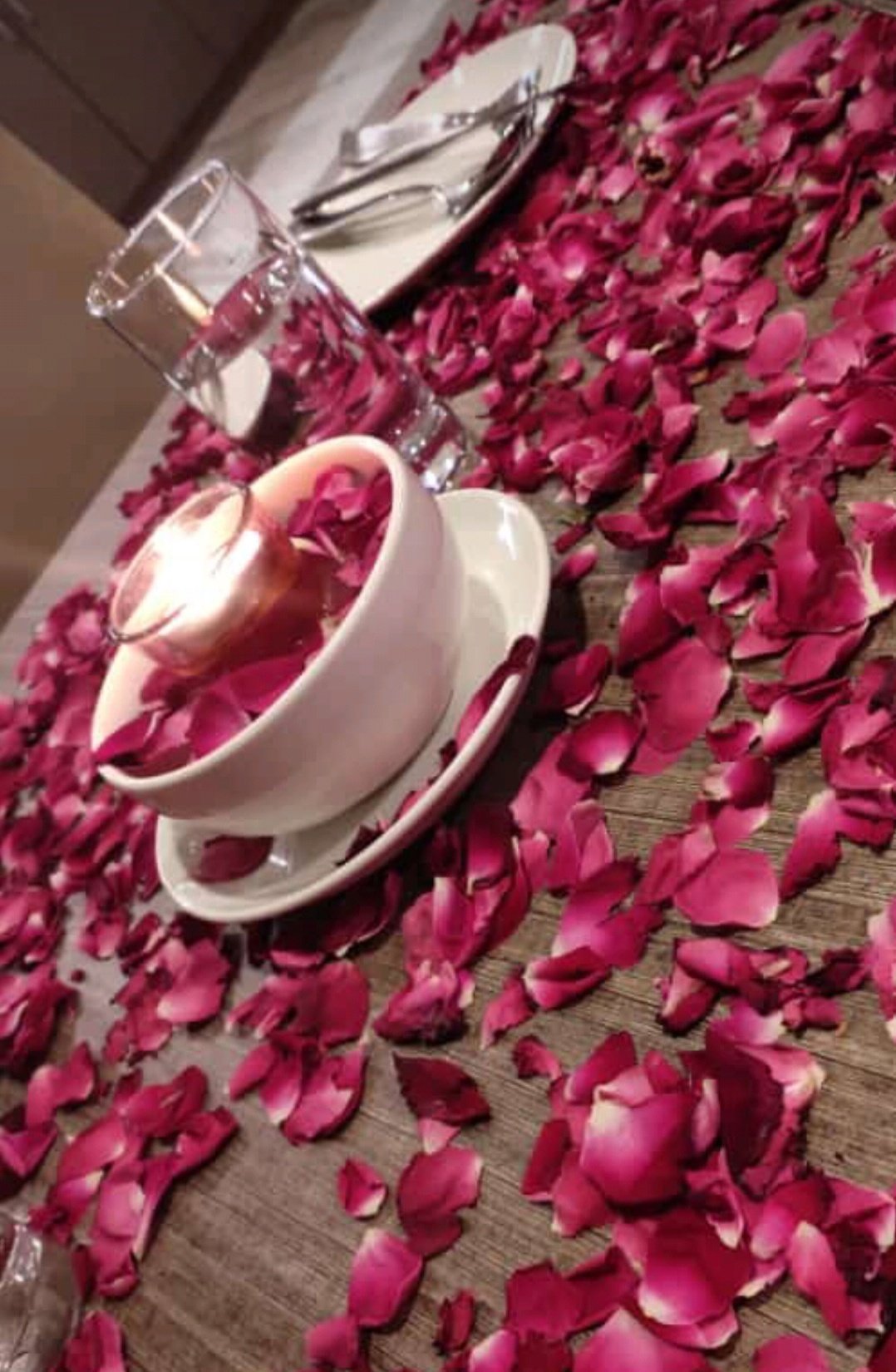 Anaya Beacon Hotel Jamnagar-餐饮