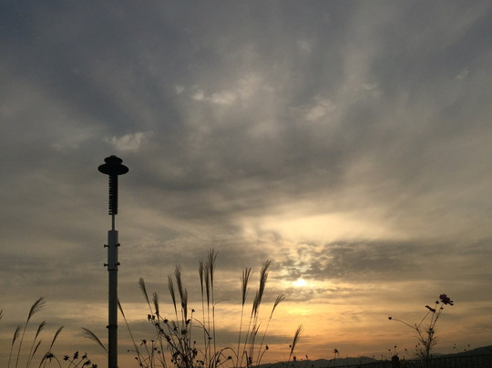 Kakao VX-城南市必去景点