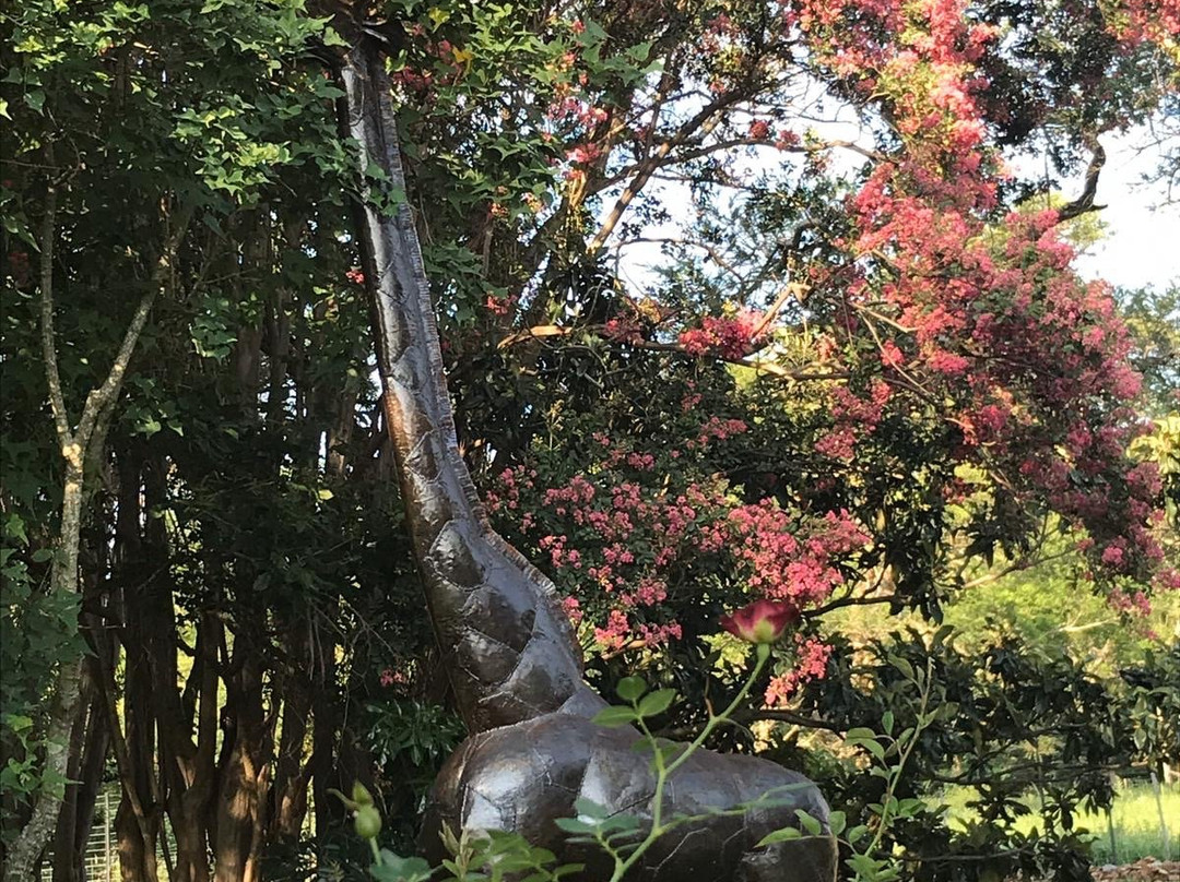 Twin Thorns Guesthouse主图