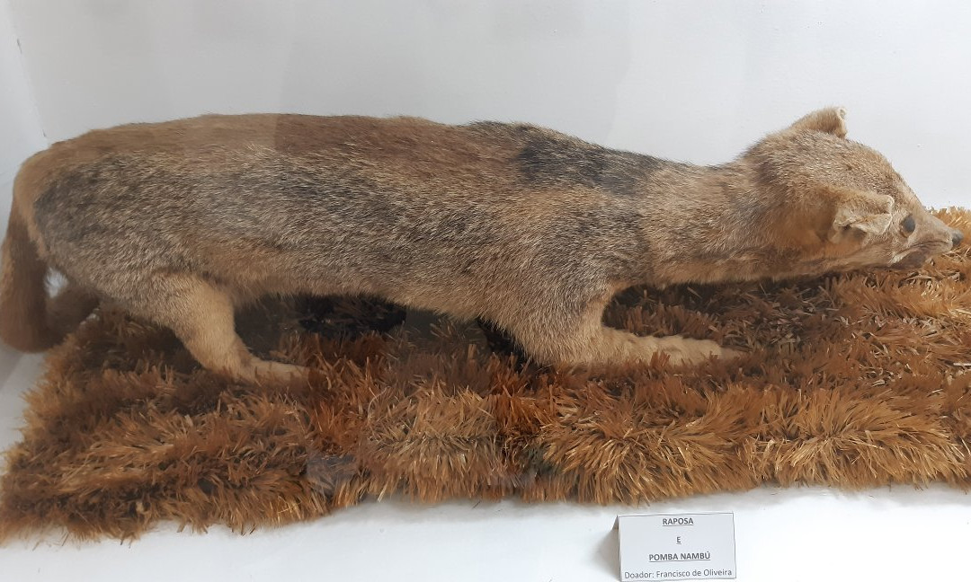 Museu do Sertao-Petrolina必去景点