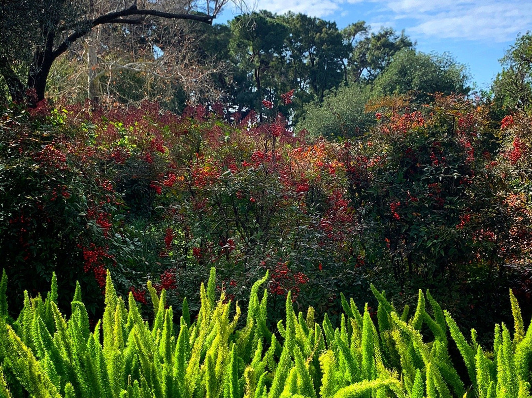 Ramat HaNadiv景点图片