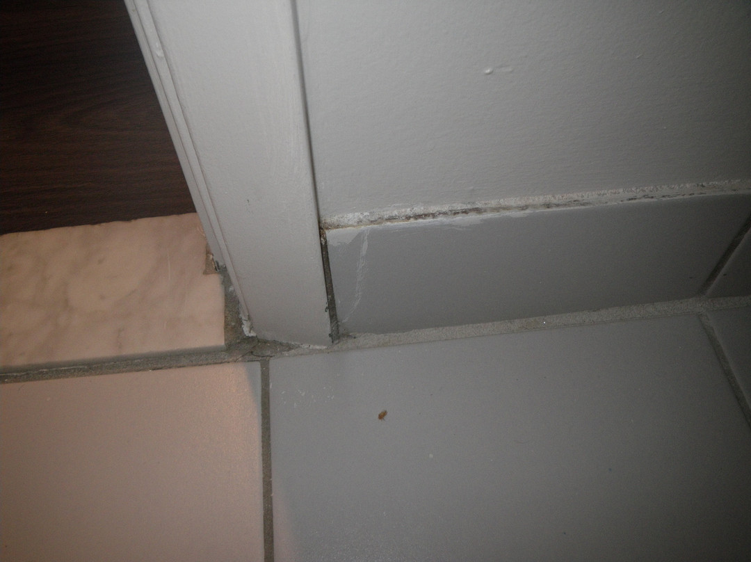 Hotel Chateau Roberval主图