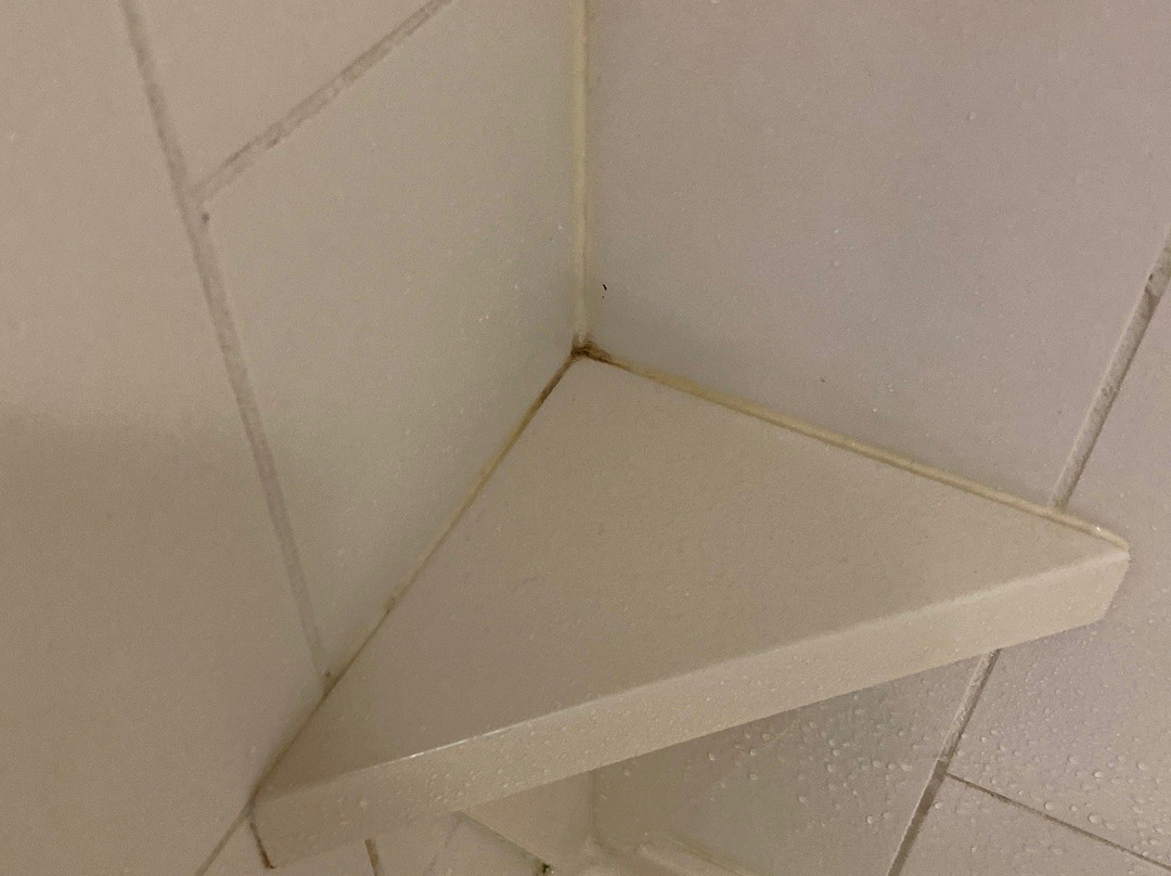 Hyatt Place Austin/Round Rock主图