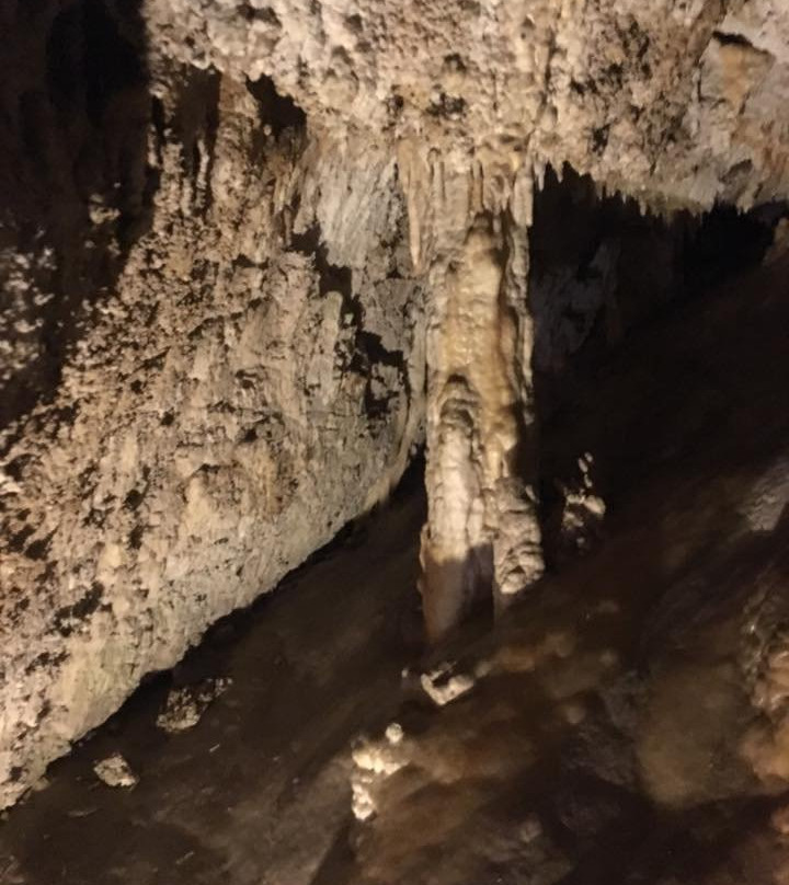 Demanovska Ice Cave景点图片