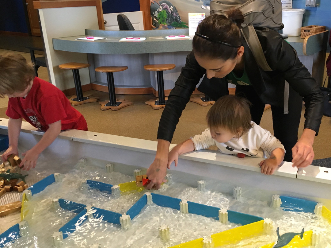 Hands On Children's Museum景点图片
